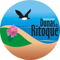 Dunas de Ritoque(@DunasdeRitoque) 's Twitter Profileg