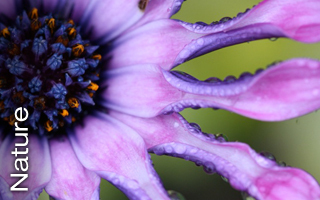 qqbing's profile picture. 