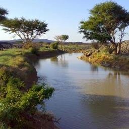 Azdeen2302's profile picture. 