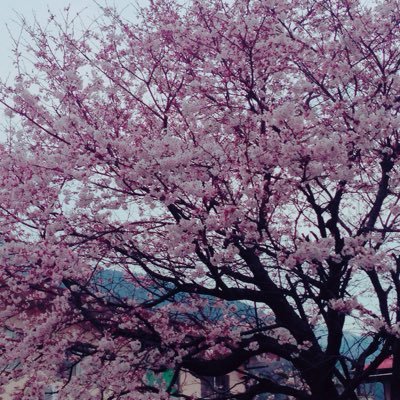 びび助移動しましたさんのプロフィール画像