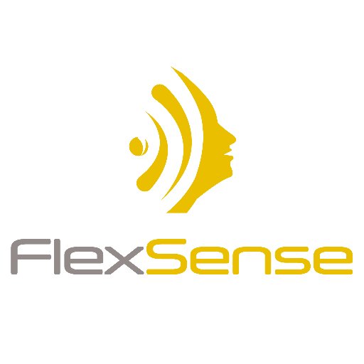 FlexSense