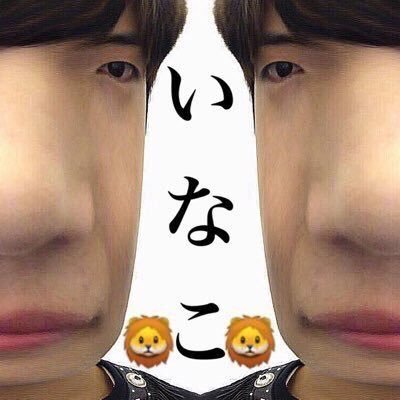 めちゃくちゃ！たまーに浮上します