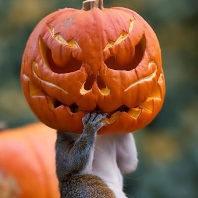 Peng2Christine's profile picture. 