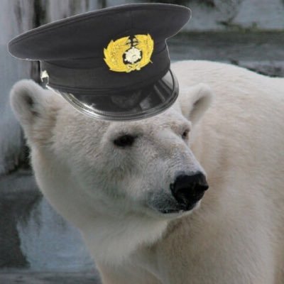 dapi02's profile picture. Yamashita・D・Hapiki です。