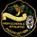 NYCHSAA BASEBALL (@chsaabaseball) Twitter profile photo