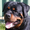 Peter Chow - @Swd_Pete - Twitter