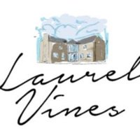 Laurel Vines(@LaurelVines) 's Twitter Profile Photo