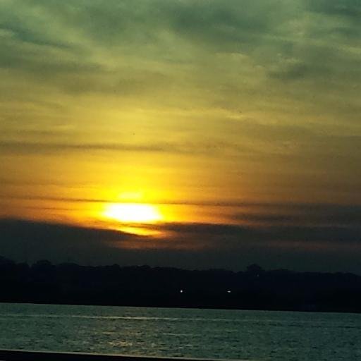 JOHNF5215's profile picture. 