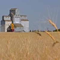 Abbey Sask (@abbey_sask) 's Twitter Profile