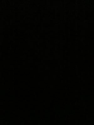 troyerpgld2's profile picture. 