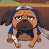 Pakkun (@donttouchthepaw) 's Twitter Profile