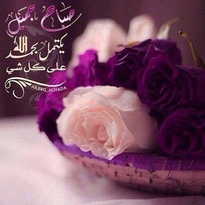 M7med83's profile picture. ابحث عن زوجه مطلقه بيضاء عادي لو معها اولاد 
والله يسر الامر