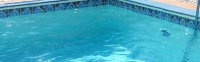 Bucks Pools LLC is a local family owned company with a reputation for honesty and integrity.