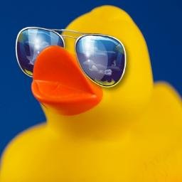 Ducky_McDuckson's profile picture. 