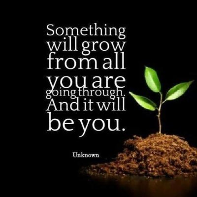 CRchabie's profile picture. 