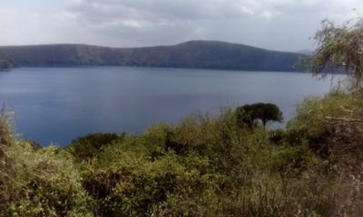 JamesMugah's profile picture. 