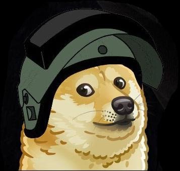 supphin's profile picture. Senatus Populusque Sumous