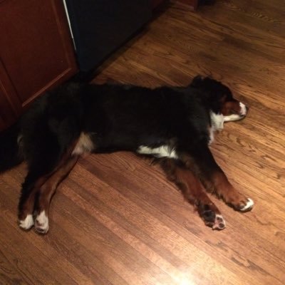 jasonkilley's profile picture. A pissed off liberal calling out bad faith conservative arguments in his free time