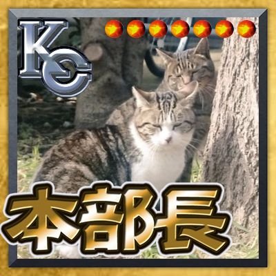 社会人7年目。 社畜からの解放、ほどほどの良い環境でお仕事してます✌️