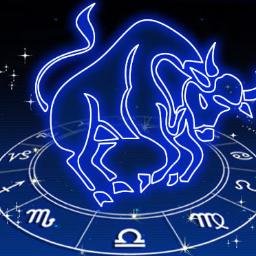 fidodido17's profile picture. full relajado, con ganas de interactuar con otras personas, M