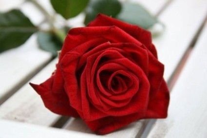 https://t.co/snFDH9TmPM - https://t.co/ALpMZgkShp - https://t.co/1q2Evd9PLV - https://t.co/KTpxzkKvSd