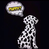 P (@s29c22) 's Twitter Profile