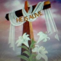 Alison Layell (@alisonlayell) 's Twitter Profile Photo