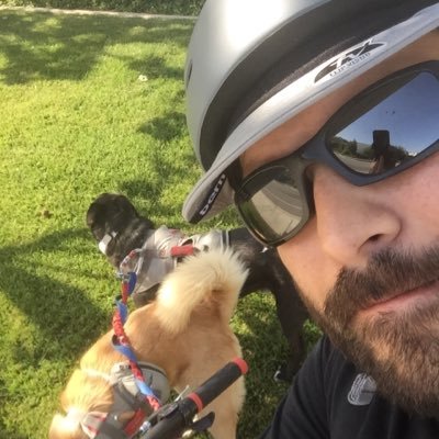 njf321's profile picture. I have made a dollar out of fifteen cents.