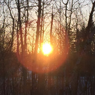 CORYCOCKRIELL's profile picture. 