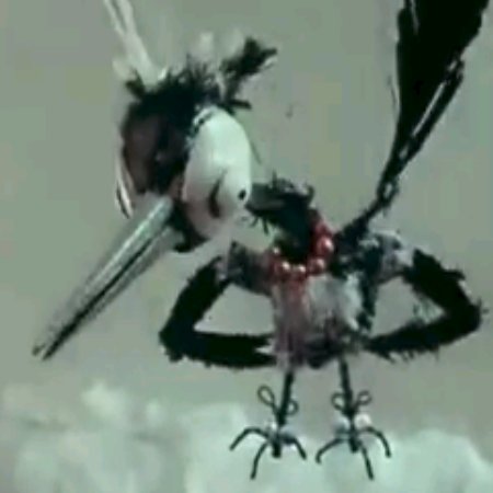 Travisさんのプロフィール画像