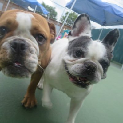 DavisHoldingINC's profile picture. 