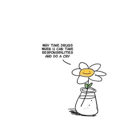 sarahmnerd's profile picture. livin