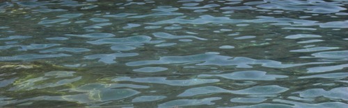 NOcontrolON's profile picture. 