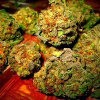 loudweeddaily (@loudweeddaily) 's Twitter Profile