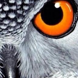 tamersadek20021's profile picture. 