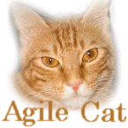 @Agile_Cat