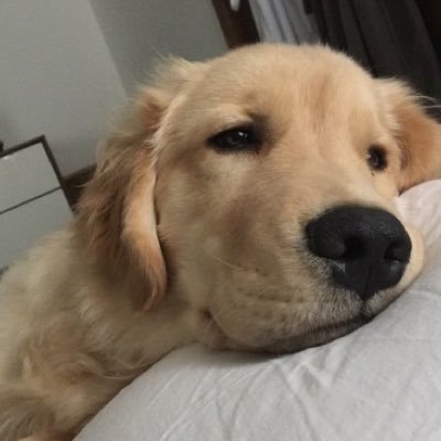 sadretroteen's profile picture. 