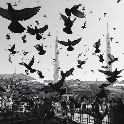 nawaf_99137's profile picture. لا تَحْلُمْ كَـثيراً وَتَـنْـسَى أنْ تَعيْش , ||~




#كلنا_معاك_يالأخضر