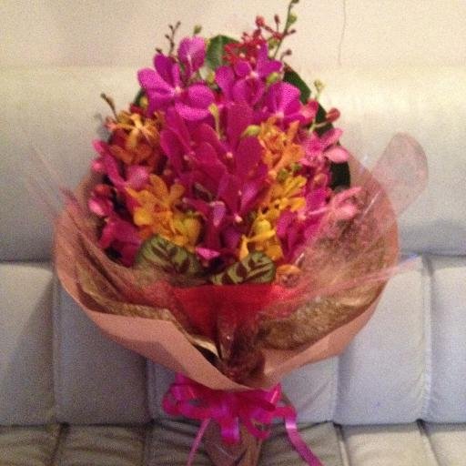 Greening the world one plant at a time by supplying orchids cut flowers, starter plants and blooming plants.
