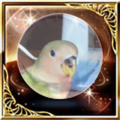 ｺｹﾞｱﾘｺｹﾞﾅｼｺｹﾞｺｹﾞ 2/23誕さんのプロフィール画像