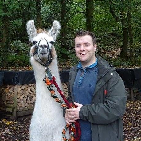 benjamindolan's profile picture. Web Developer