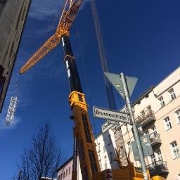 YellowtheCrane's profile picture. 