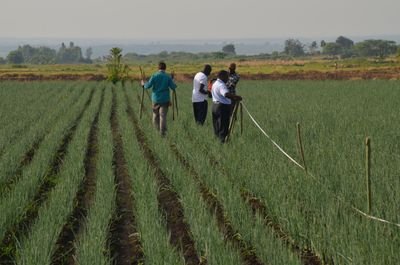 a_gonzalezgomez's profile picture. Ingeniero Agrónomo. Trabajando en @IAS_CSIC