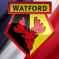 Watford FC - France(@frwatford) 's Twitter Profileg