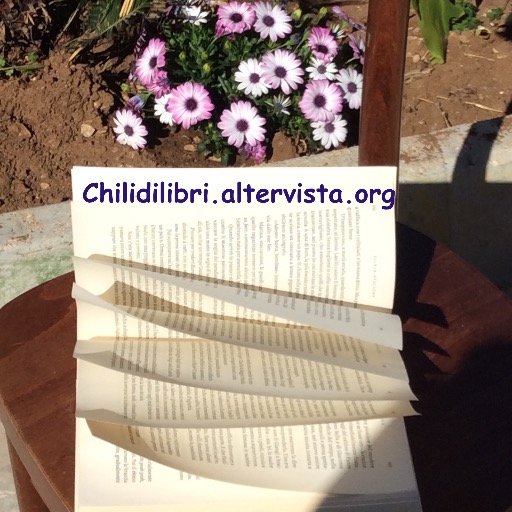 @Chilidilibri