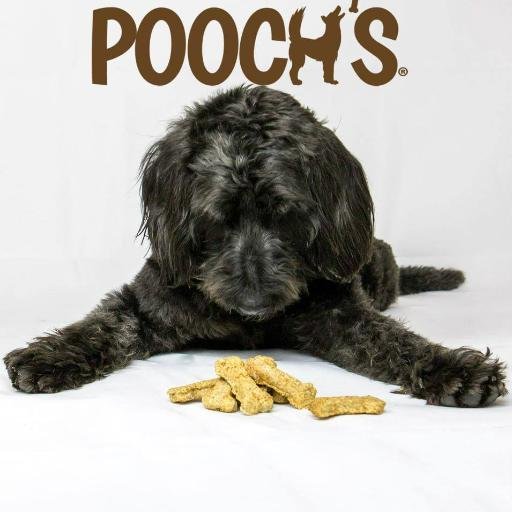 poochs dog treats