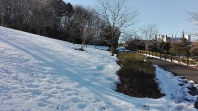 いそまよさんのプロフィール画像