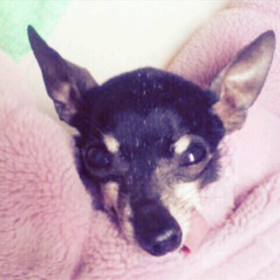 写真投稿していますが、がっつりオタクアカです。。。そうでない方は踏み込まれませんように🙇♀️💦 時々駄文書いてます→ https://t.co/mlVUwzRMl4 サブ垢→ https://t.co/588JWvnq3J