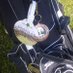 Eamon O Donovan (@eamongolf) Twitter profile photo Eamon O Donovan (@eamongolf) Twitter profile photo