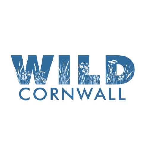 Guided walking adventures in West Cornwall with @wildrambling